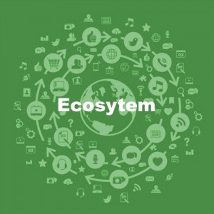 Ecosystem